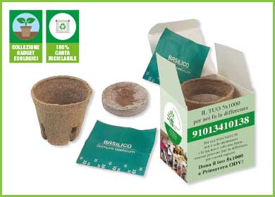 SCATOLINA CON SEMI E VASETTO