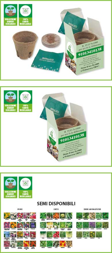 SCATOLINA CON SEMI E VASETTO