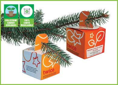 SCATOLINA NATALIZIA CON SEMI E VASETTO