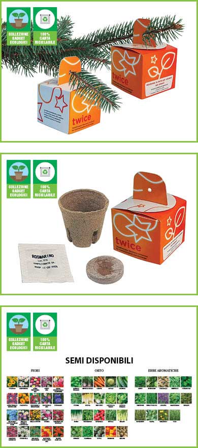 SCATOLINA NATALIZIA CON SEMI E VASETTO